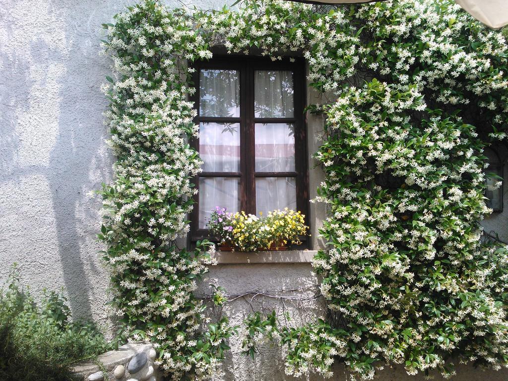 Bauernhof Cassinazza