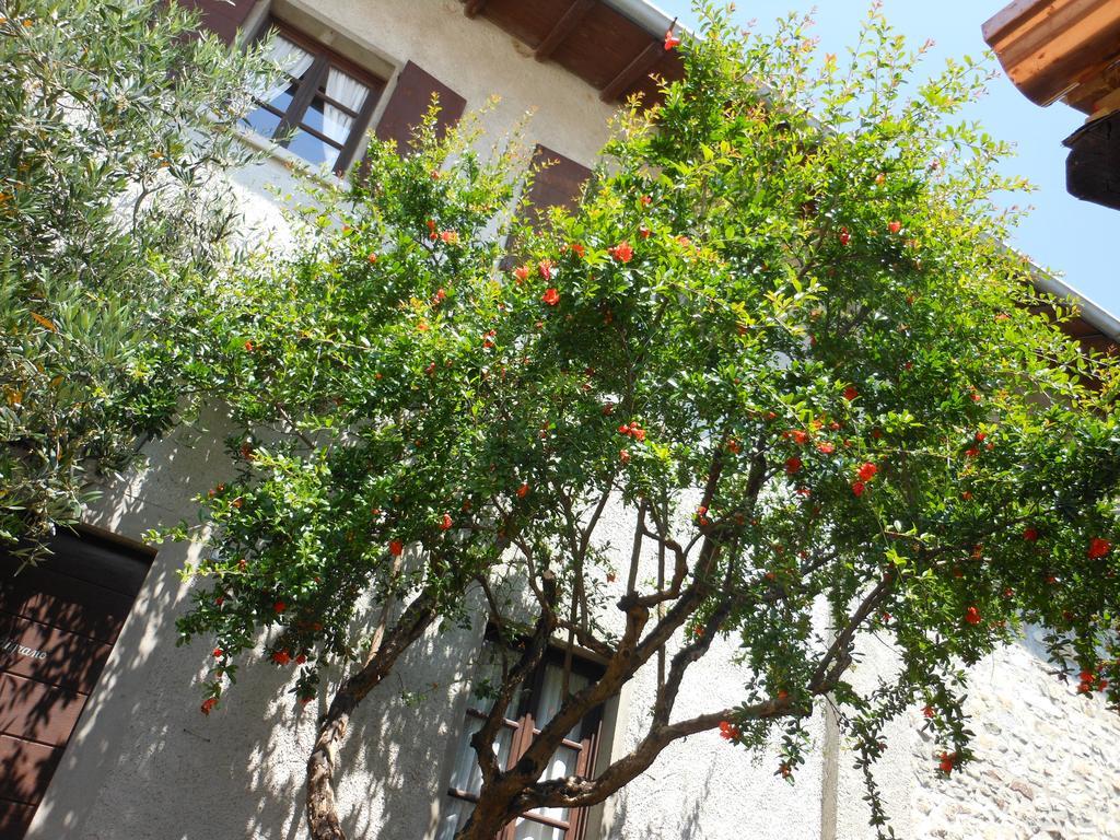 Agriturismo Cassinazza Vakantieboerderij Orsenigo