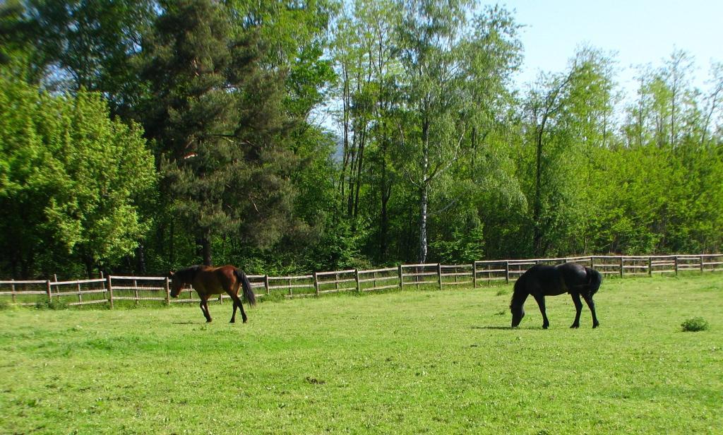 Agriturismo Cassinazza Vakantieboerderij